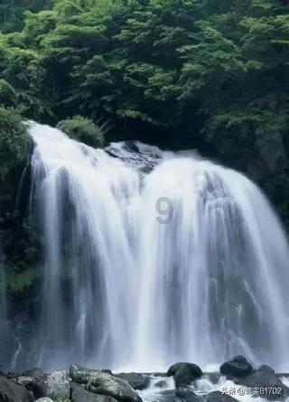 万词王