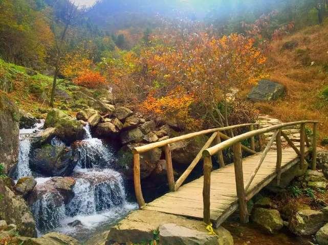 成都西南脑科医院:一面锦旗、三封感谢信接踵而至!