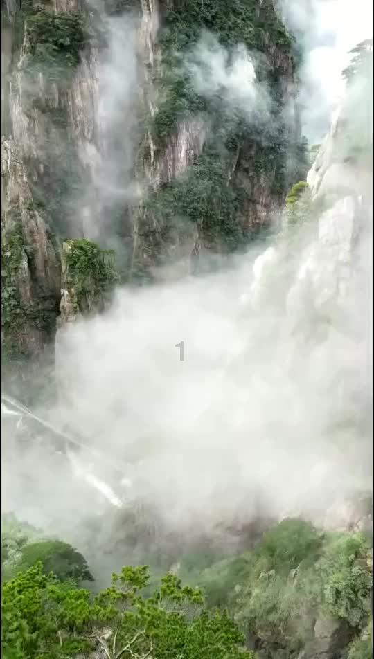 个人营业执照网上注销游戏画面